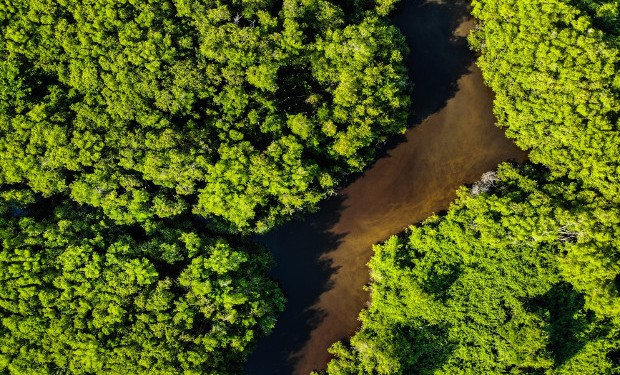 Amazzonia e America Latina: disastro Covid